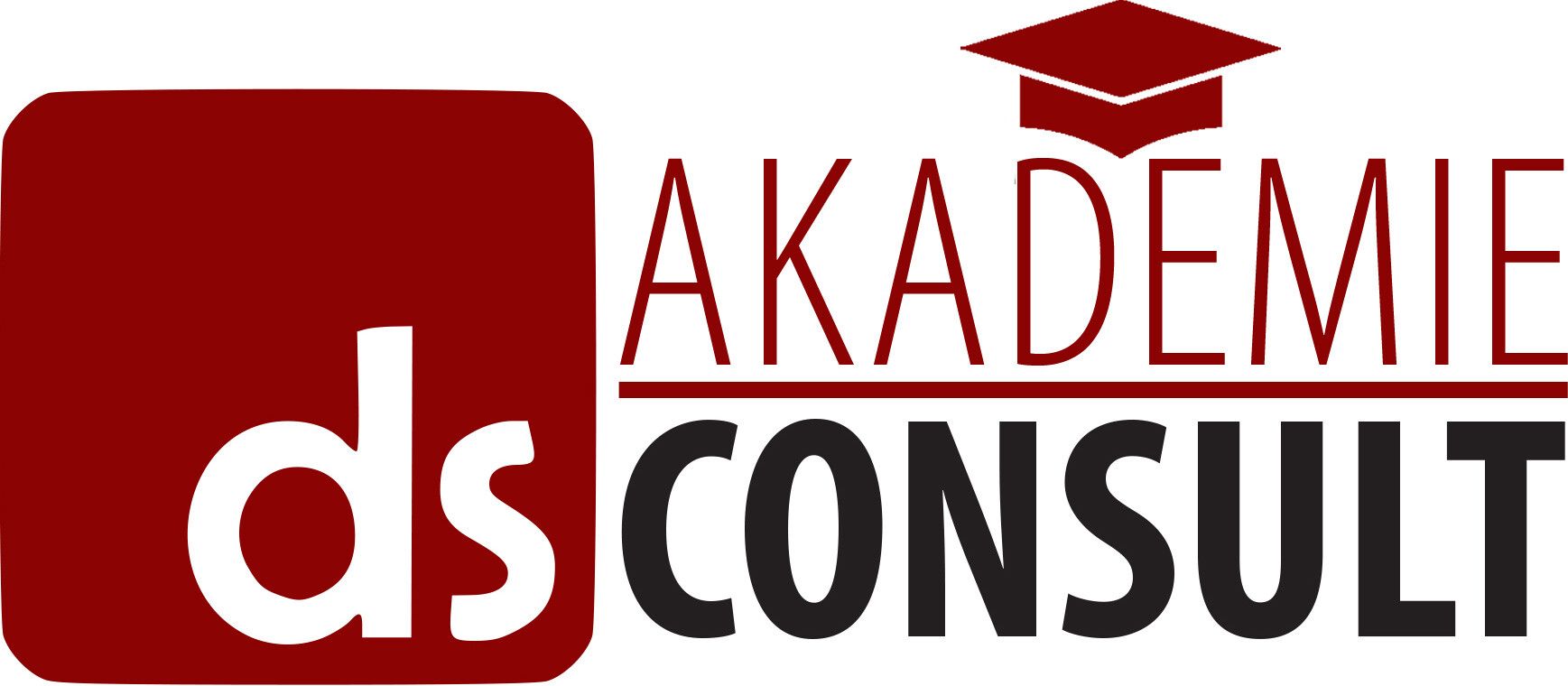 dsconsult_aklademie_web